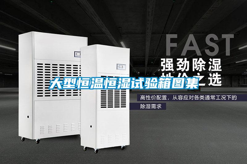 大型恒溫恒濕試驗箱圖集