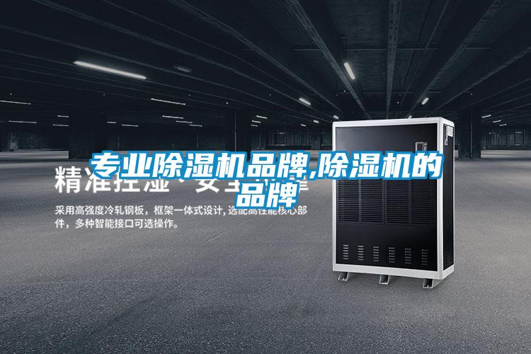 專(zhuān)業(yè)除濕機品牌,除濕機的品牌