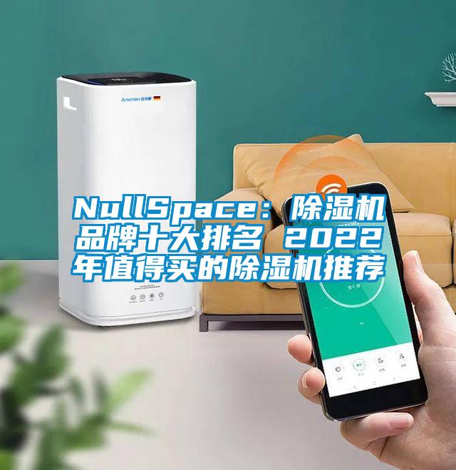 NullSpace：除濕機品牌十大排名 2022年值得買(mǎi)的除濕機推薦