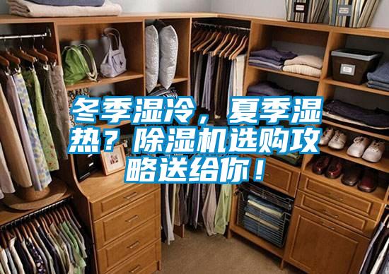 冬季濕冷，夏季濕熱？除濕機選購攻略送給你！