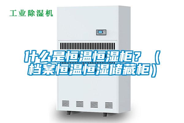 什么是恒溫恒濕柜？（檔案恒溫恒濕儲藏柜）