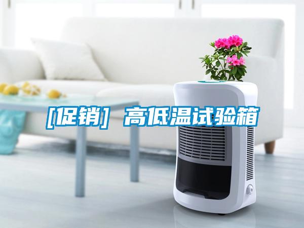 [促銷(xiāo)] 高低溫試驗箱