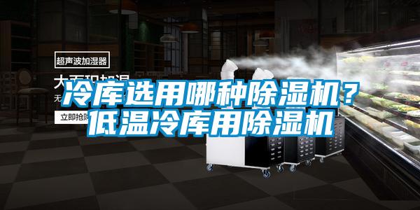 冷庫選用哪種除濕機？低溫冷庫用除濕機