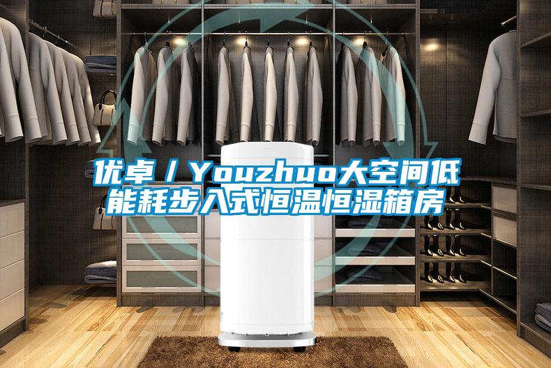 優(yōu)卓／Youzhuo大空間低能耗步入式恒溫恒濕箱房