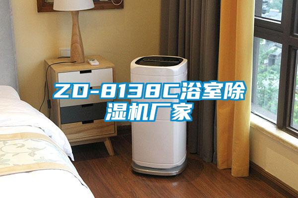 ZD-8138C浴室除濕機廠(chǎng)家