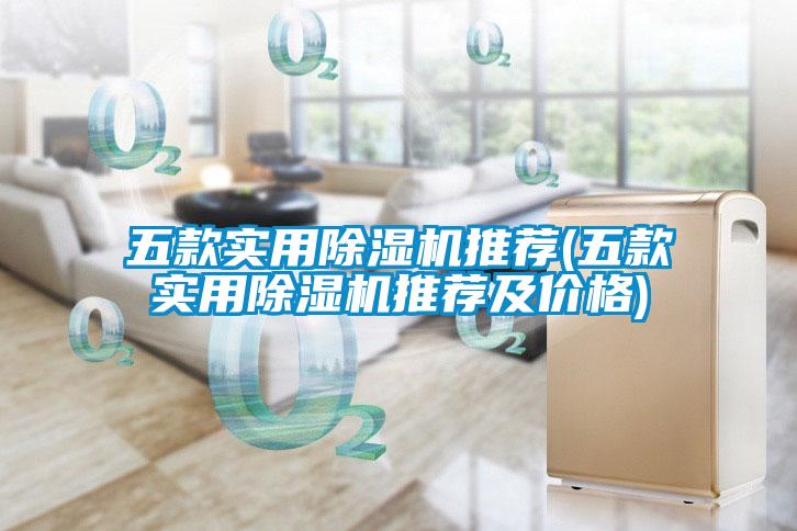五款實(shí)用除濕機推薦(五款實(shí)用除濕機推薦及價(jià)格)