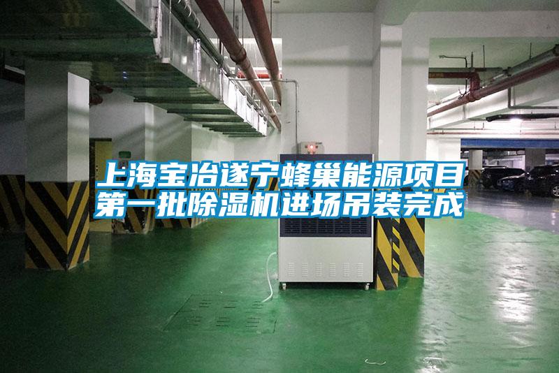 上海寶冶遂寧蜂巢能源項目第一批除濕機進(jìn)場(chǎng)吊裝完成