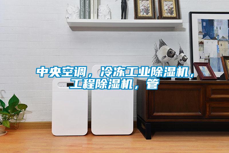 中央空調，冷凍工業(yè)除濕機，工程除濕機，管