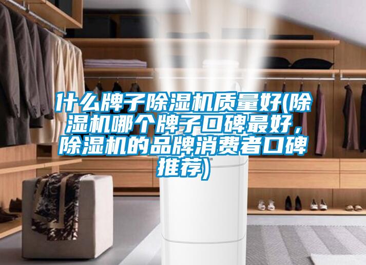 什么牌子除濕機質(zhì)量好(除濕機哪個(gè)牌子口碑最好，除濕機的品牌消費者口碑推薦)