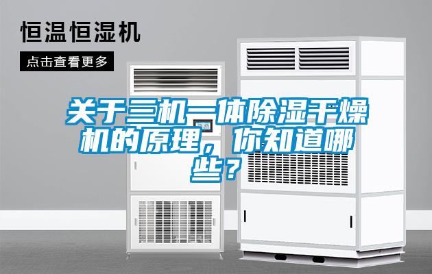 關(guān)于三機一體除濕干燥機的原理，你知道哪些？