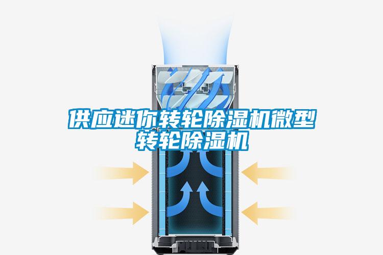 供應迷你轉輪除濕機微型轉輪除濕機