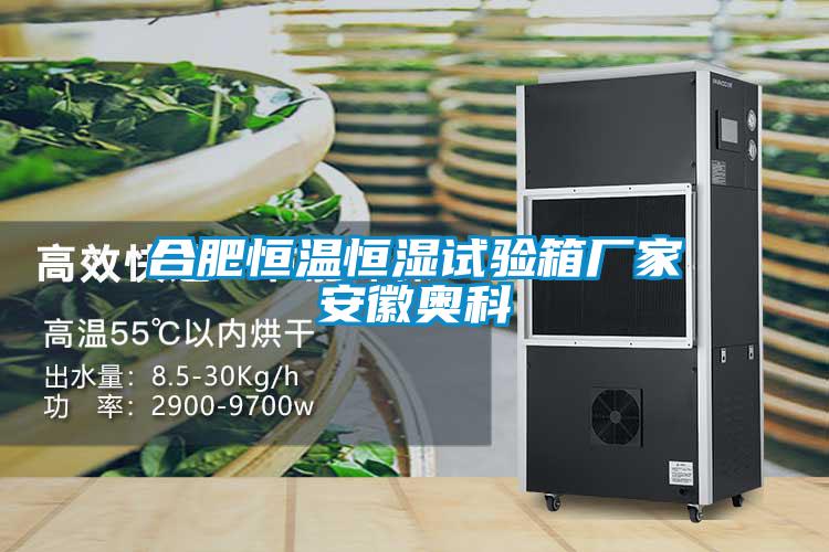 合肥恒溫恒濕試驗箱廠(chǎng)家安徽奧科