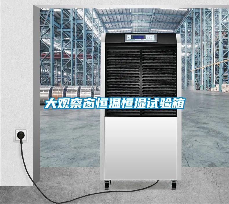 大觀(guān)察窗恒溫恒濕試驗箱
