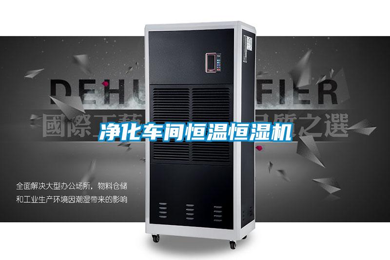 凈化車(chē)間恒溫恒濕機