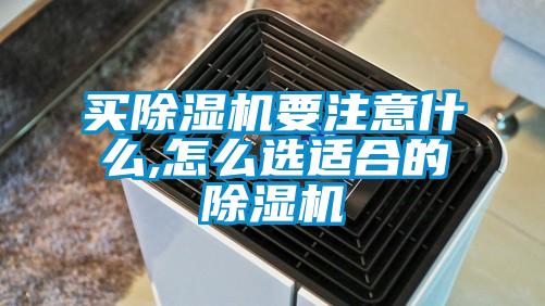 買(mǎi)除濕機要注意什么,怎么選適合的除濕機