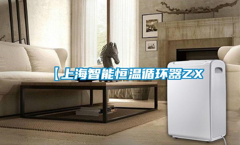 【上海智能恒溫循環(huán)器ZX