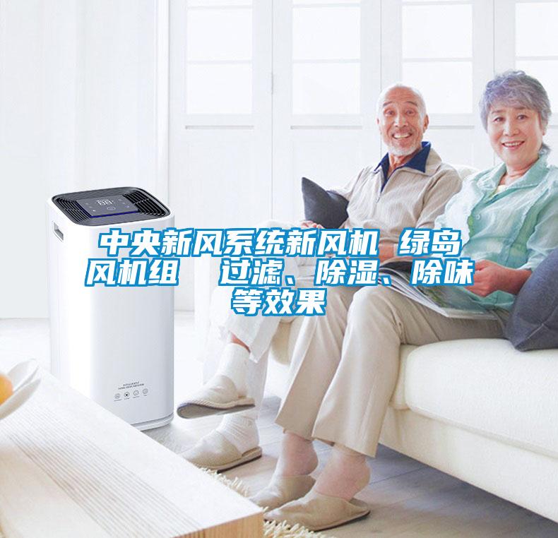 中央新風(fēng)系統新風(fēng)機 綠島風(fēng)機組  過(guò)濾、除濕、除味等效果