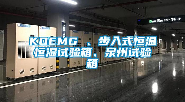 KOEMG 、步入式恒溫恒濕試驗箱、泉州試驗箱