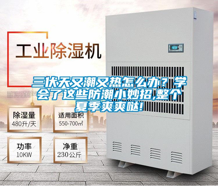 三伏天又潮又熱怎么辦？學(xué)會(huì )了這些防潮小妙招,整個(gè)夏季爽爽噠!