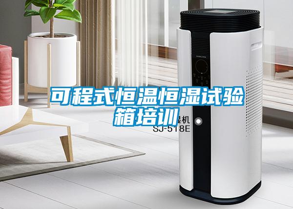 可程式恒溫恒濕試驗箱培訓