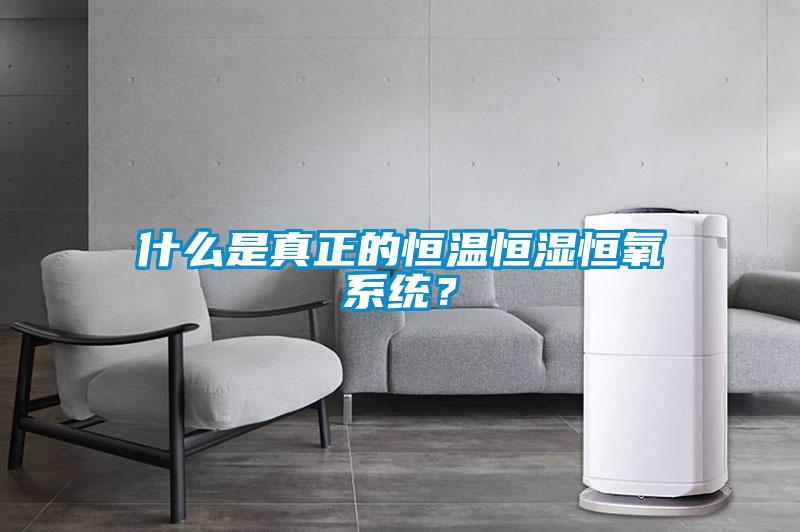 什么是真正的恒溫恒濕恒氧系統？