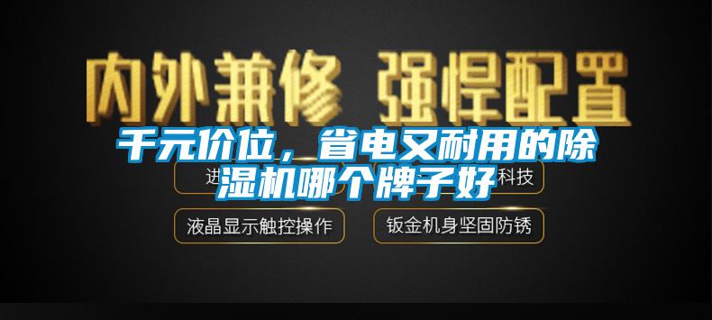 千元價(jià)位，省電又耐用的除濕機哪個(gè)牌子好