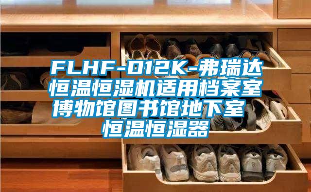 FLHF-D12K-弗瑞達恒溫恒濕機適用檔案室博物館圖書(shū)館地下室 恒溫恒濕器