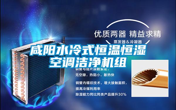 咸陽(yáng)水冷式恒溫恒濕空調潔凈機組