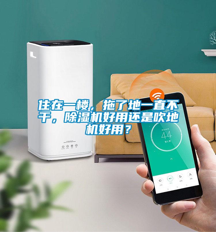 住在一樓，拖了地一直不干，除濕機好用還是吹地機好用？