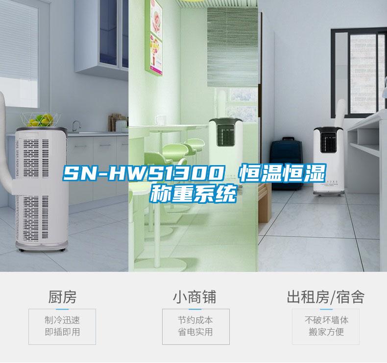 SN-HWS1300 恒溫恒濕稱(chēng)重系統
