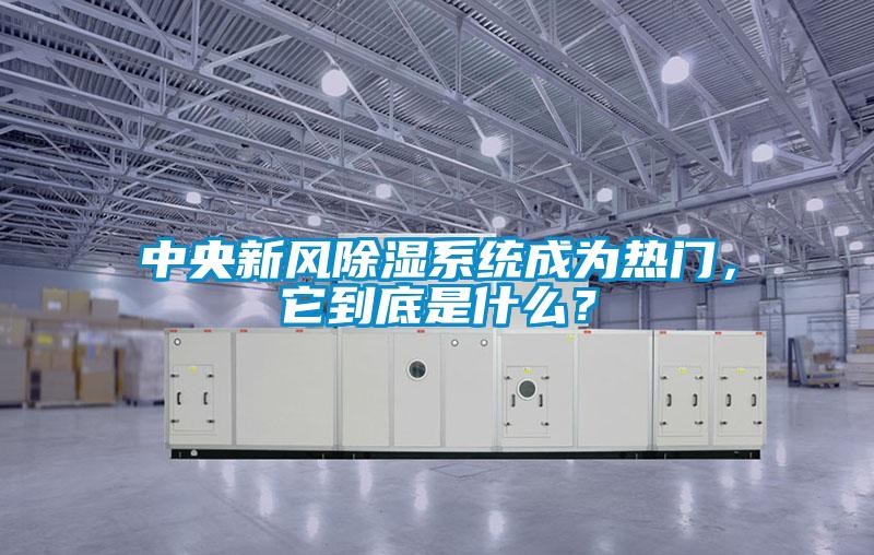 中央新風(fēng)除濕系統成為熱門(mén)，它到底是什么？
