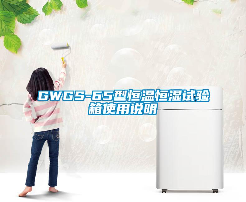GWGS-65型恒溫恒濕試驗箱使用說(shuō)明