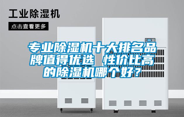 專(zhuān)業(yè)除濕機十大排名品牌值得優(yōu)選 性?xún)r(jià)比高的除濕機哪個(gè)好？