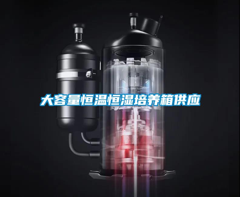 大容量恒溫恒濕培養箱供應