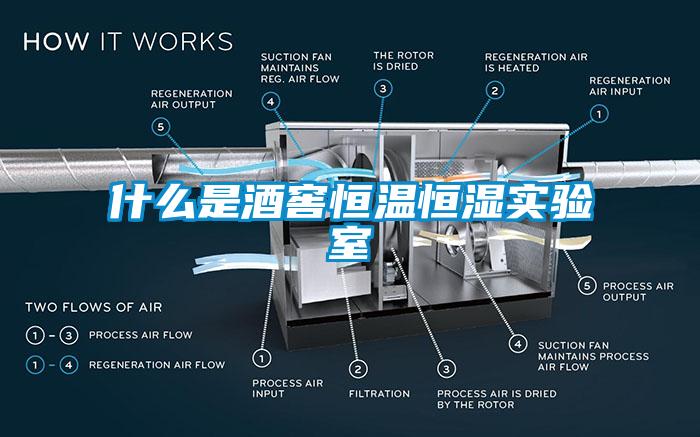 什么是酒窖恒溫恒濕實(shí)驗室