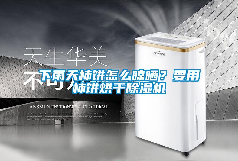 下雨天柿餅怎么晾曬？要用柿餅烘干除濕機