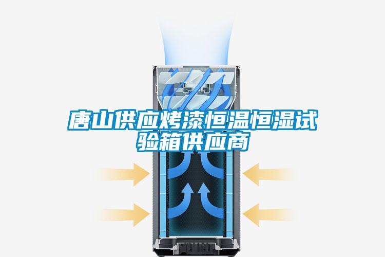 唐山供應烤漆恒溫恒濕試驗箱供應商