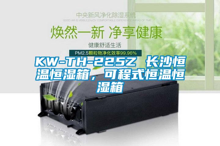 KW-TH-225Z 長(cháng)沙恒溫恒濕箱，可程式恒溫恒濕箱