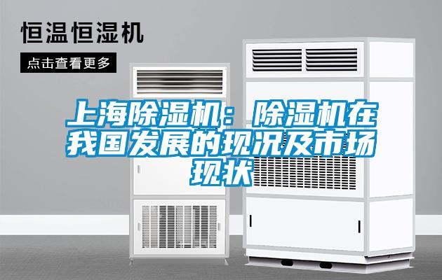 上海除濕機：除濕機在我國發(fā)展的現況及市場(chǎng)現狀