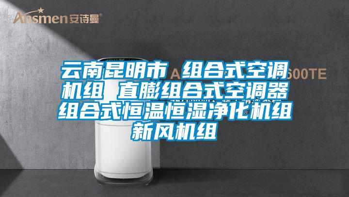 云南昆明市 組合式空調機組 直膨組合式空調器組合式恒溫恒濕凈化機組新風(fēng)機組