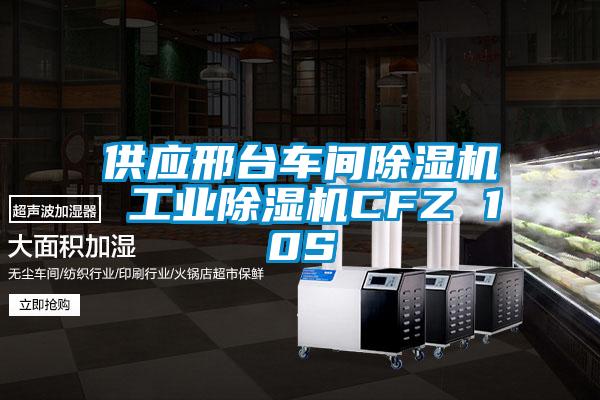 供應邢臺車(chē)間除濕機 工業(yè)除濕機CFZ 10S