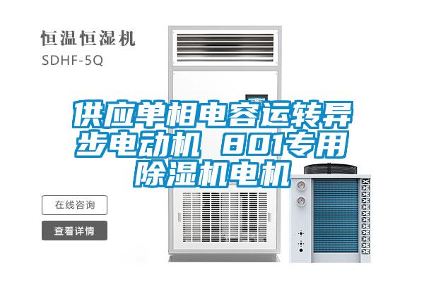 供應單相電容運轉異步電動(dòng)機 801專(zhuān)用除濕機電機