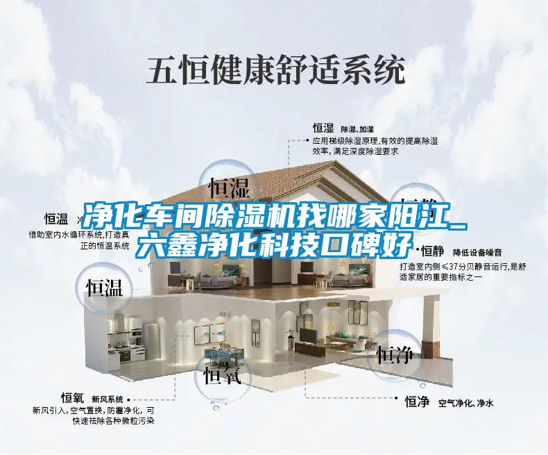 凈化車(chē)間除濕機找哪家陽(yáng)江_六鑫凈化科技口碑好