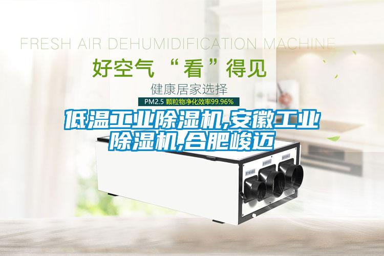 低溫工業(yè)除濕機,安徽工業(yè)除濕機,合肥峻邁