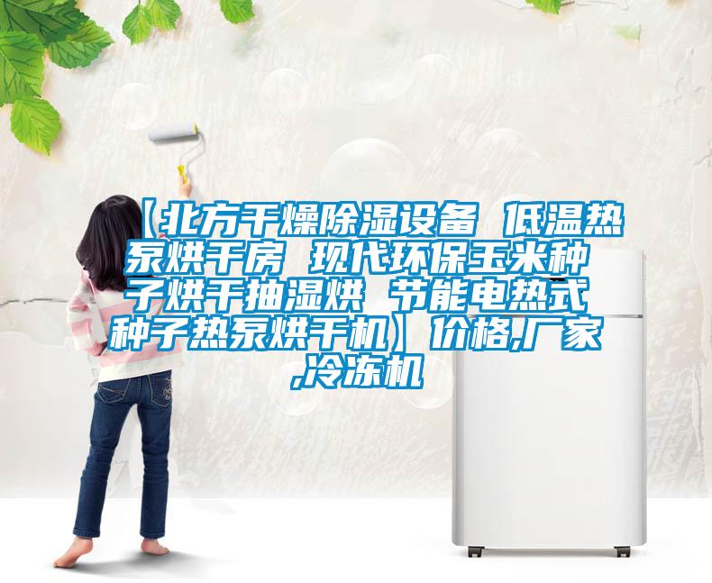 【北方干燥除濕設備 低溫熱泵烘干房 現代環(huán)保玉米種子烘干抽濕烘 節能電熱式種子熱泵烘干機】?jì)r(jià)格,廠(chǎng)家,冷凍機