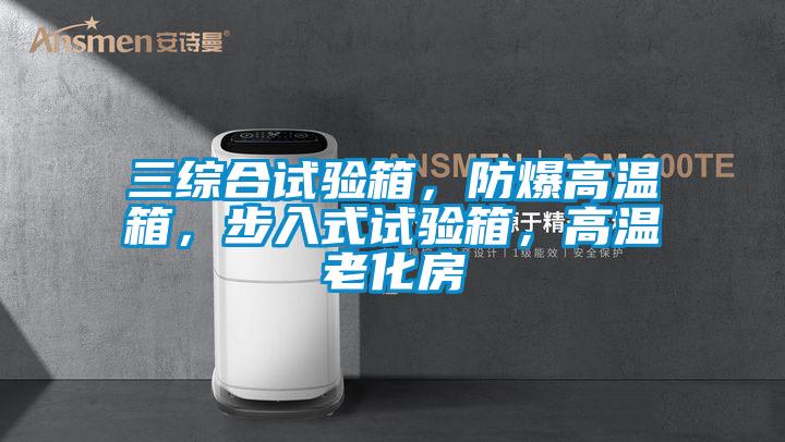三綜合試驗箱，防爆高溫箱，步入式試驗箱，高溫老化房