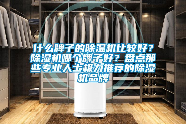 什么牌子的除濕機比較好？除濕機哪個(gè)牌子好？盤(pán)點(diǎn)那些專(zhuān)業(yè)人士極力推薦的除濕機品牌