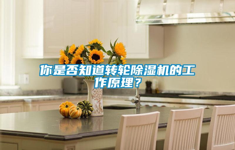 你是否知道轉輪除濕機的工作原理？