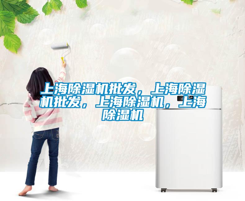 上海除濕機批發(fā)，上海除濕機批發(fā)，上海除濕機，上海除濕機