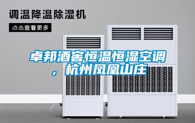 卓邦酒窖恒溫恒濕空調，杭州鳳凰山莊